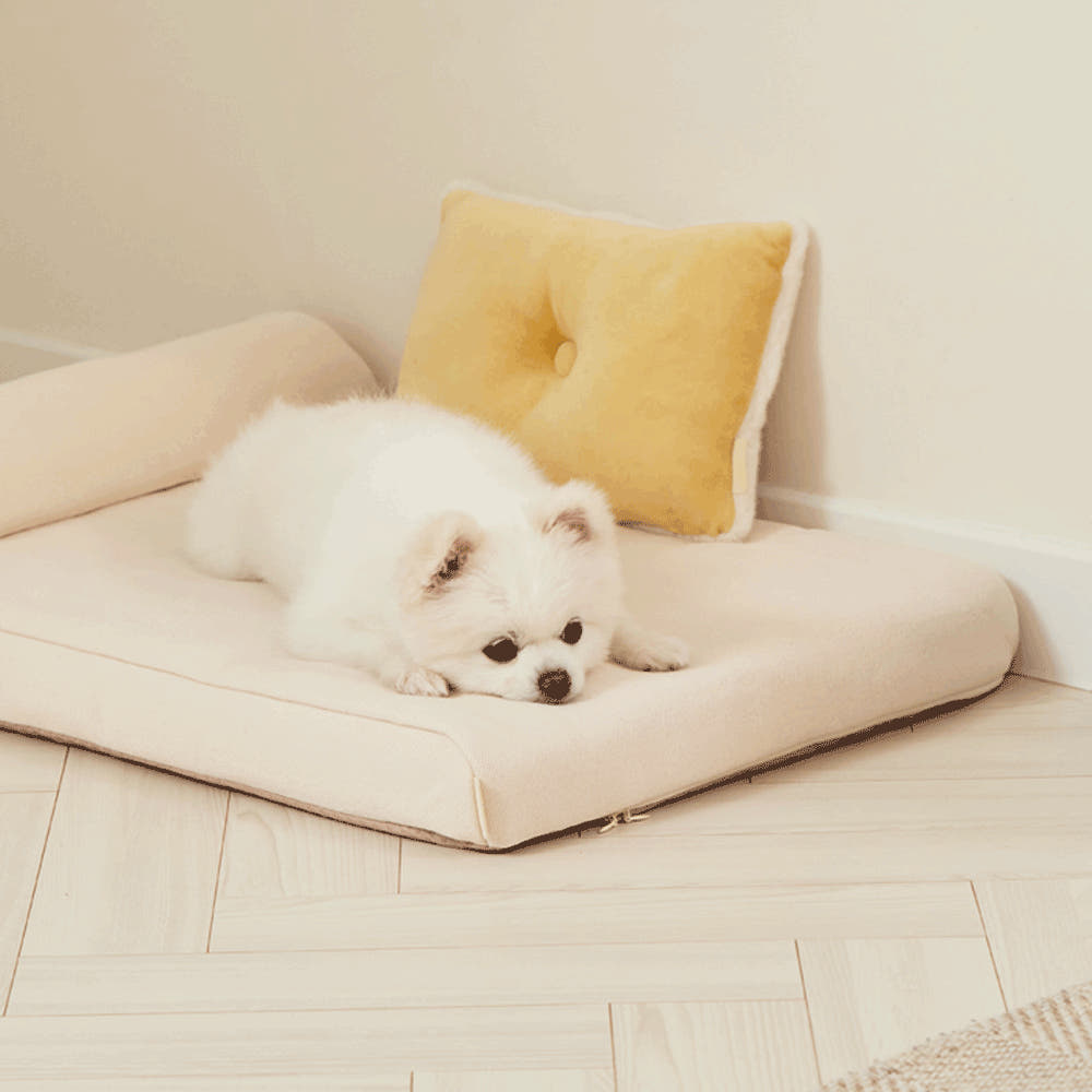 Pet Slim Bed (B)