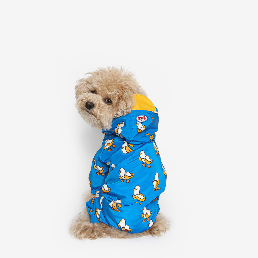 Puppy Raincoat (B)