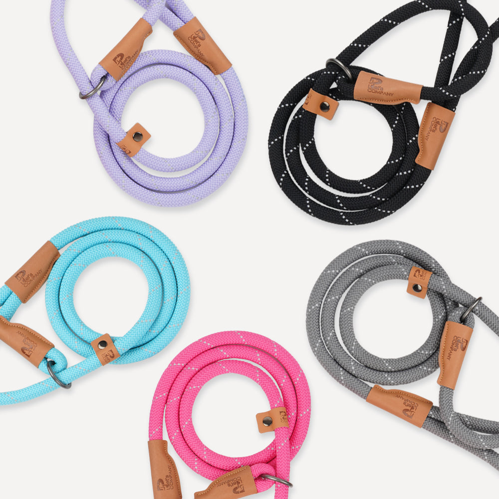 Slip Rope Puppy Leash (B)