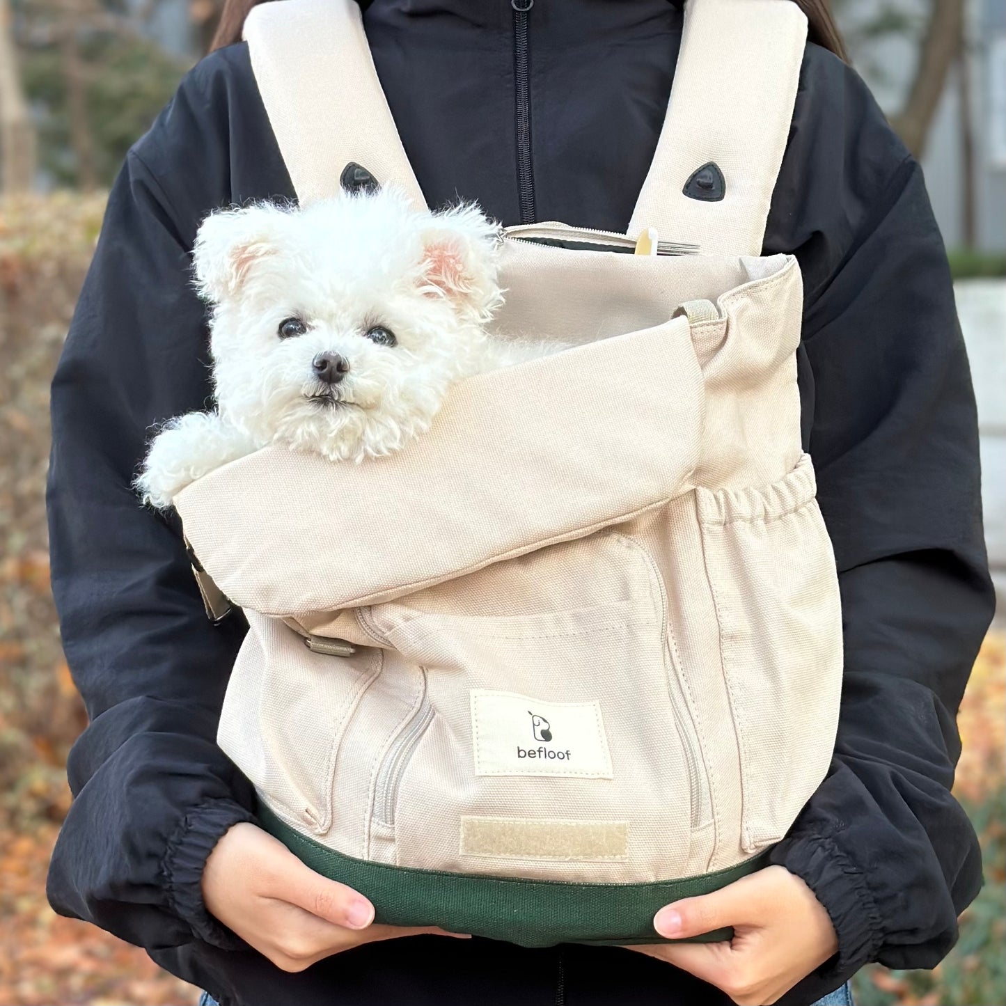 Pet Front Facing Bag/ Carrier (B)