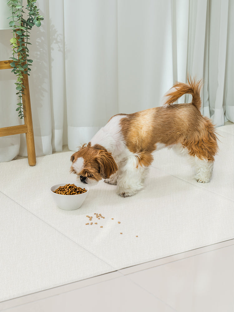 Waterproof Scratch Resistant Non Slip Foldable Pet Mat (B)