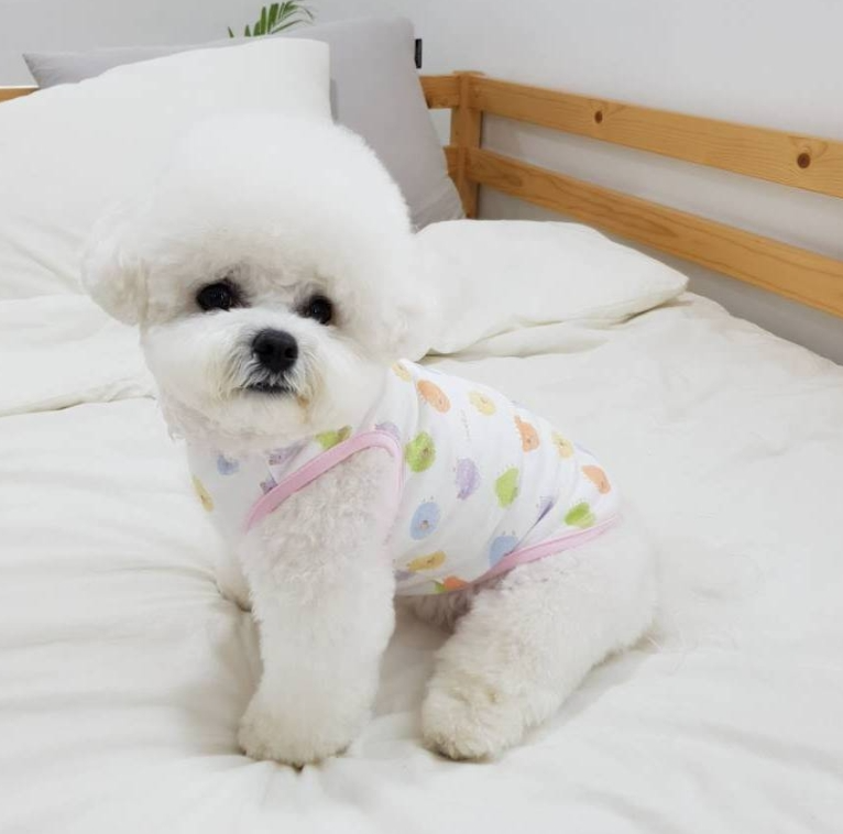 Puppy Sleeveless Indoor Wear Pajamas Organic Cotton (B)