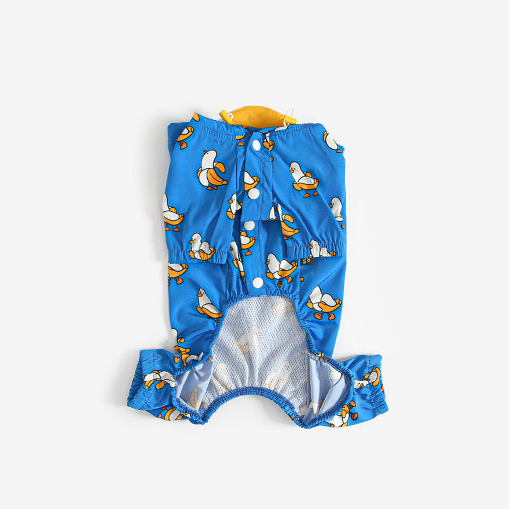 Puppy Raincoat (B)