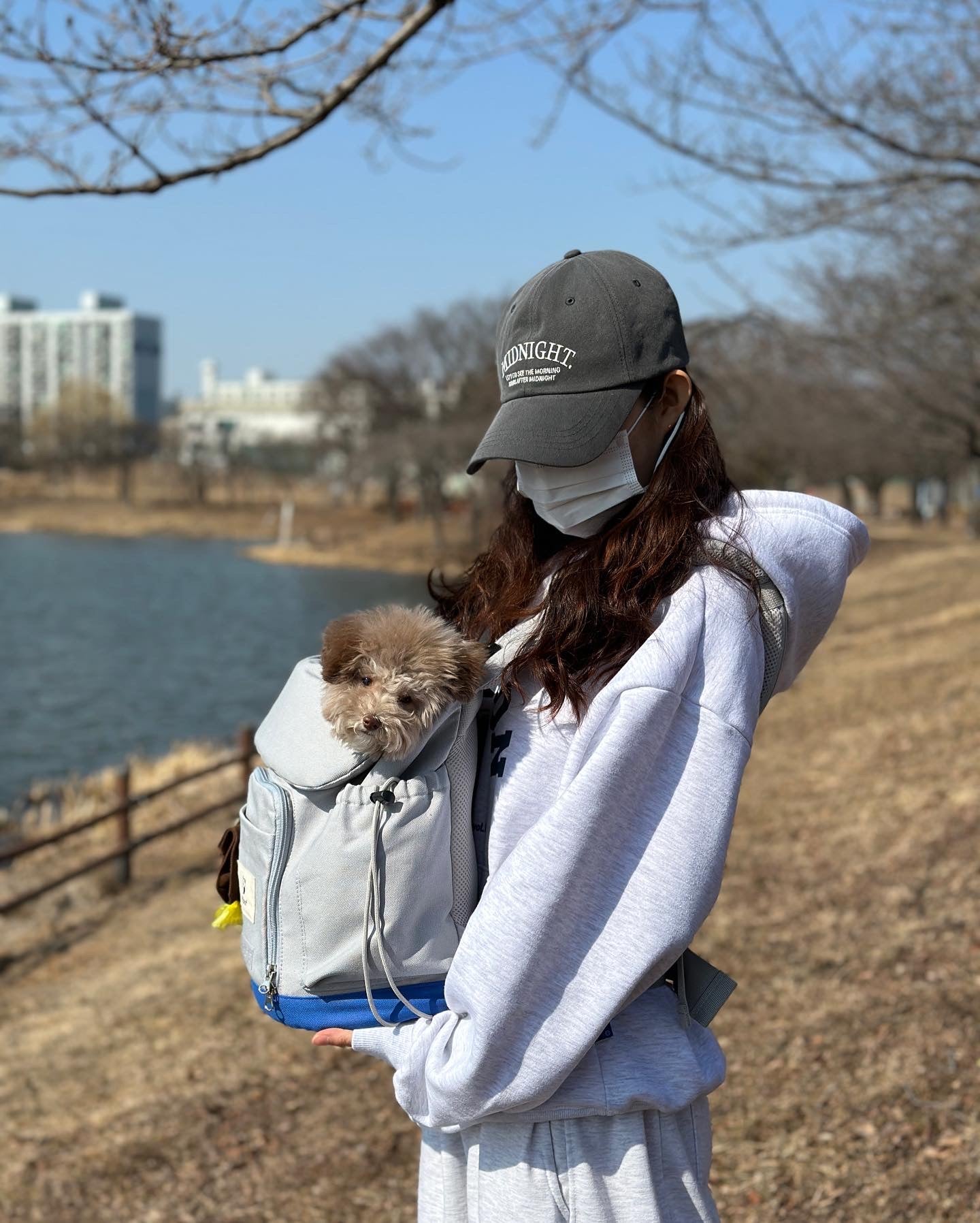 Pet Front Facing Bag/ Carrier (B)