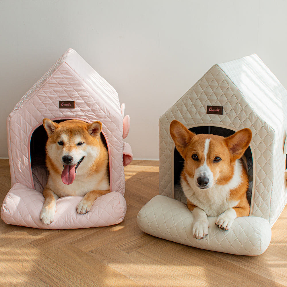 Indoor Four Seasons Puppy House (B)