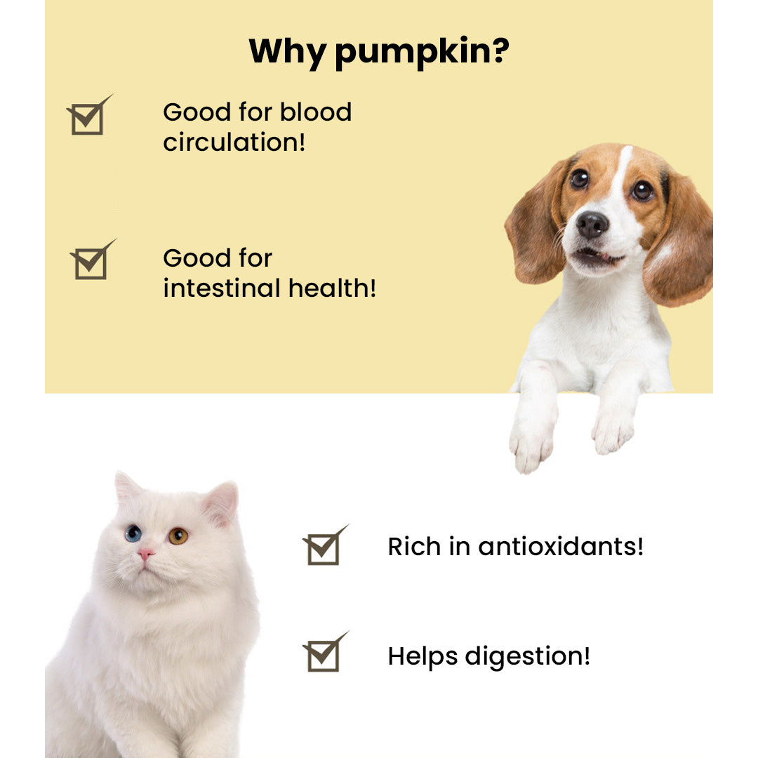 Pet Treat Freeze-Dried Pumpkin Organic Pesticide-Free (B)