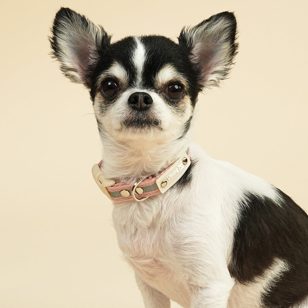 Reflective Night Puppy Collar (B)