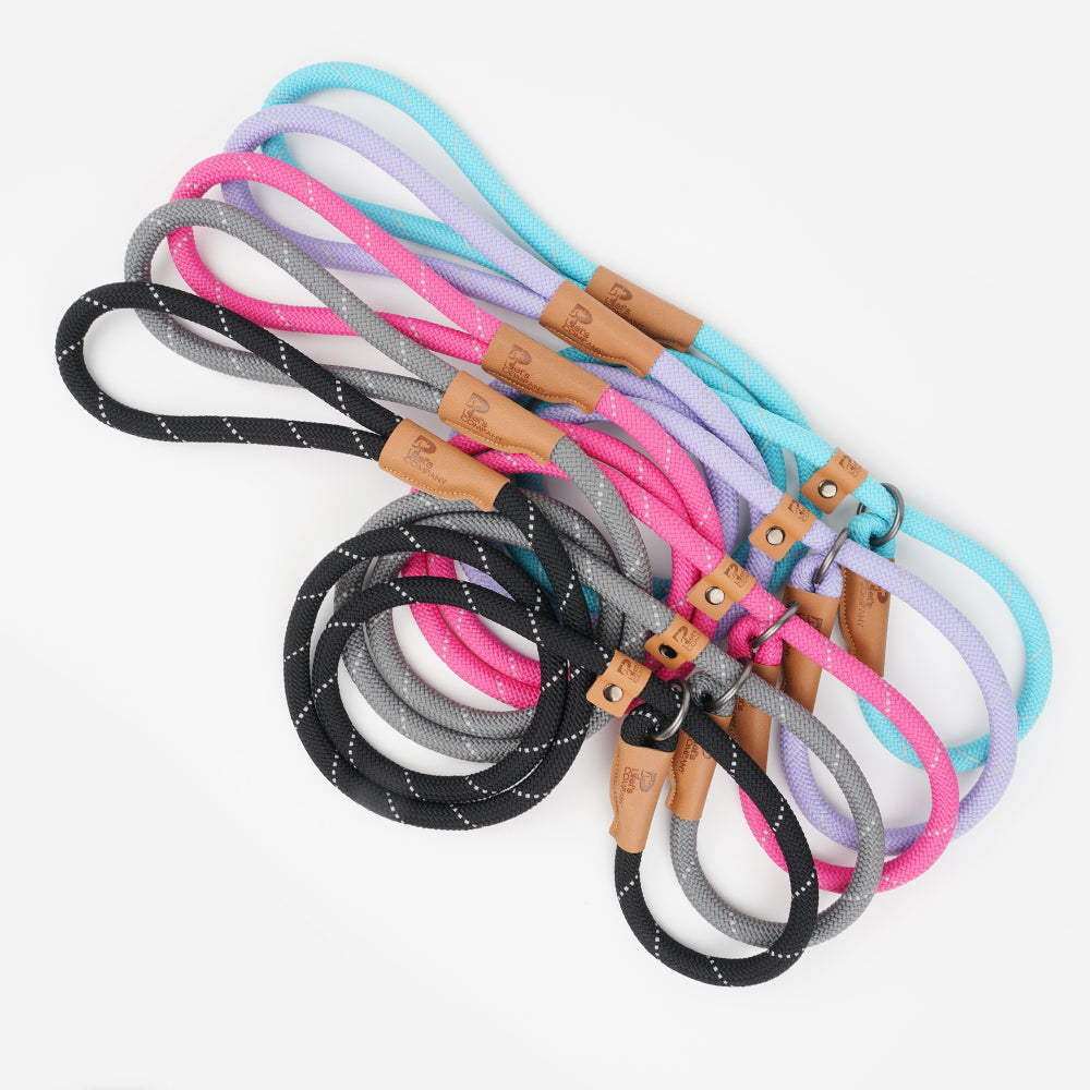 Slip Rope Puppy Leash (B)