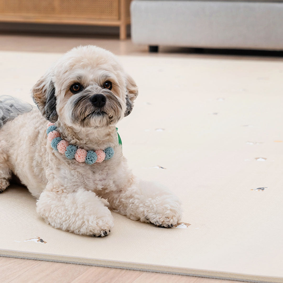 Waterproof Scratch Resistant Non Slip Roll Pet Mat (B)