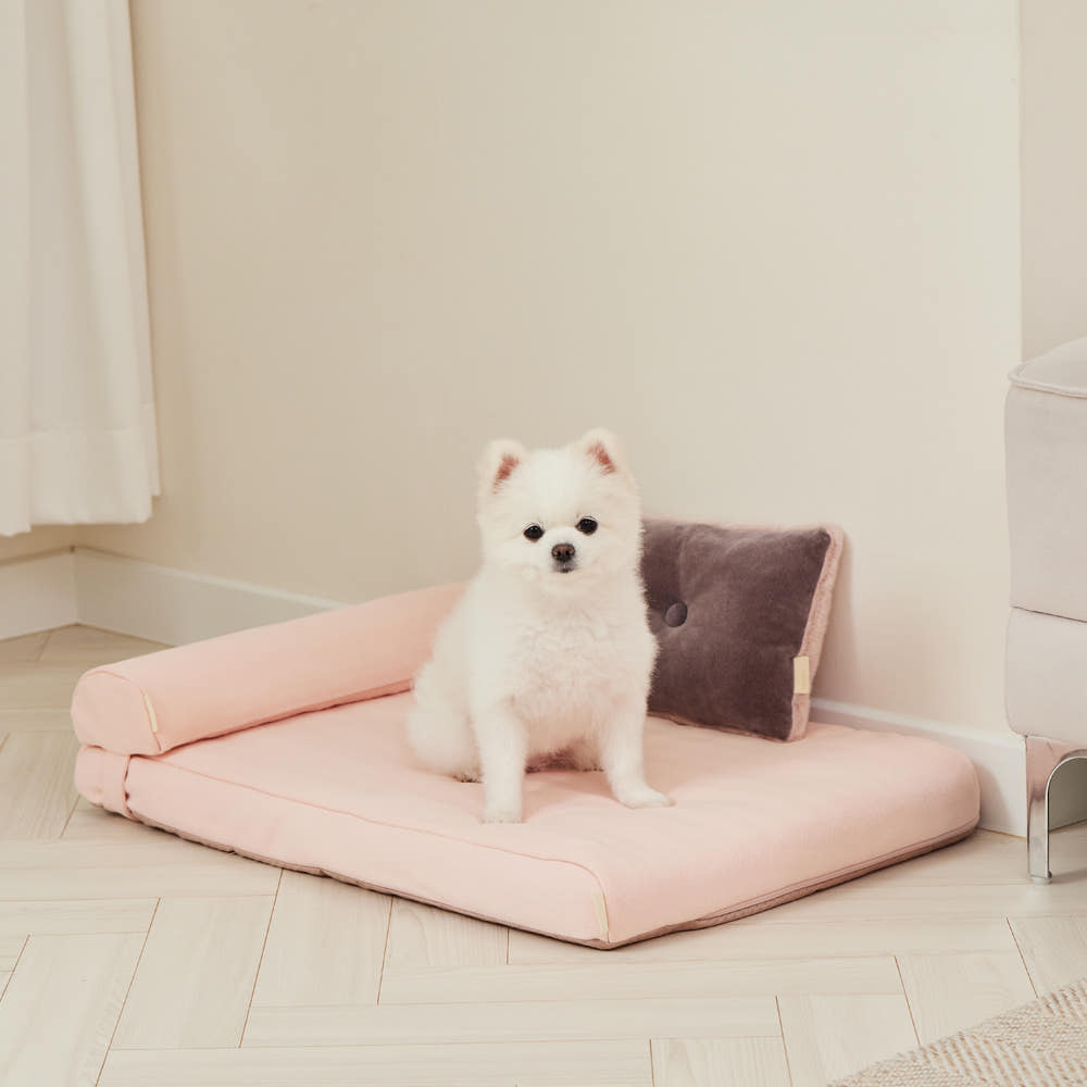 Pet Slim Bed (B)