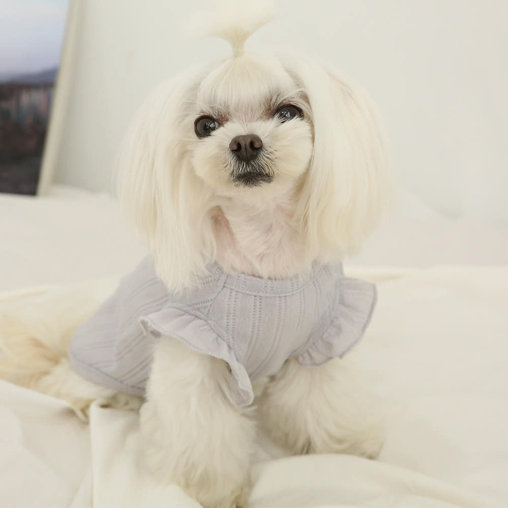 Puppy Sleeveless Summer Shirt (B)
