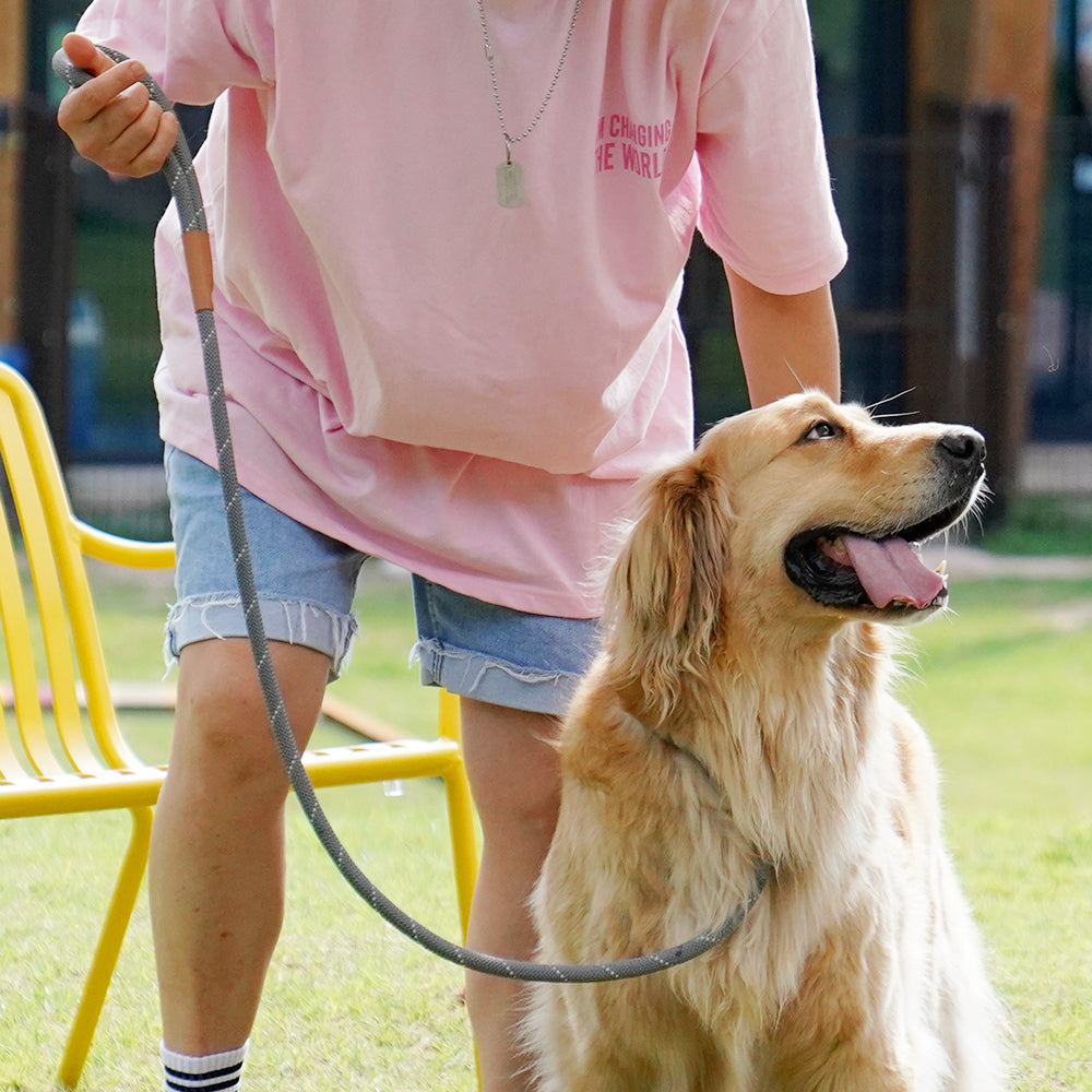 Slip Rope Puppy Leash (B)
