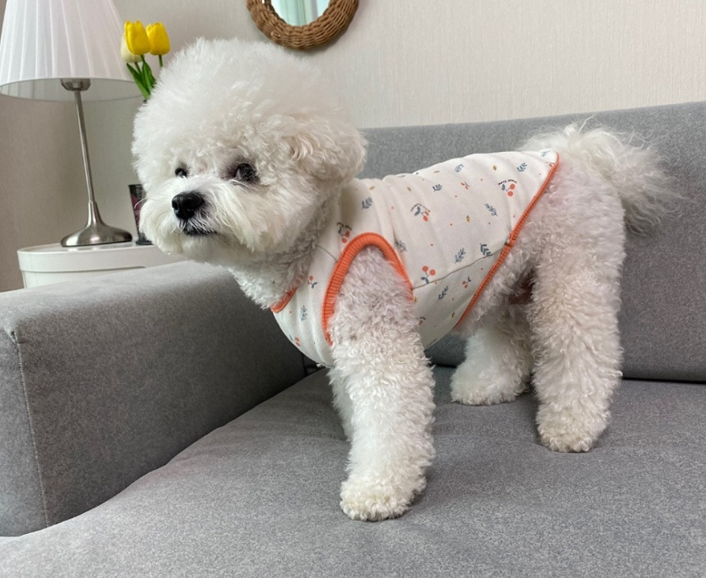 Puppy Sleeveless Indoor Wear Pajamas Organic Cotton (B)