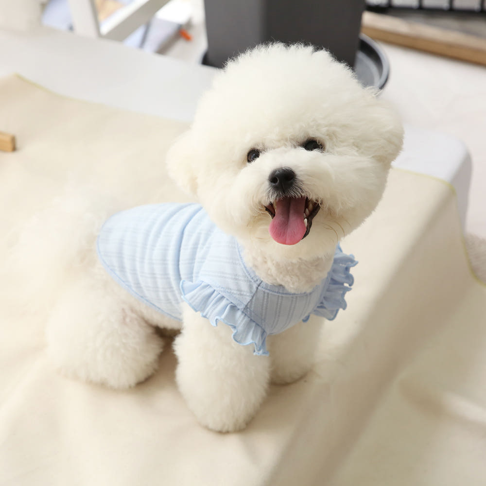 Puppy Sleeveless Summer Shirt (B)