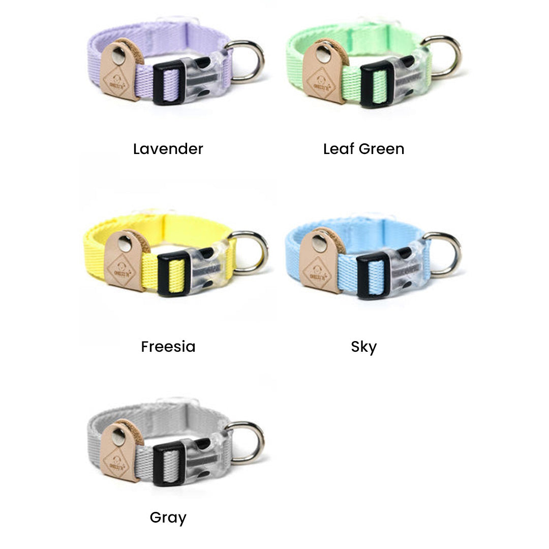 Small Puppy Collar (B)