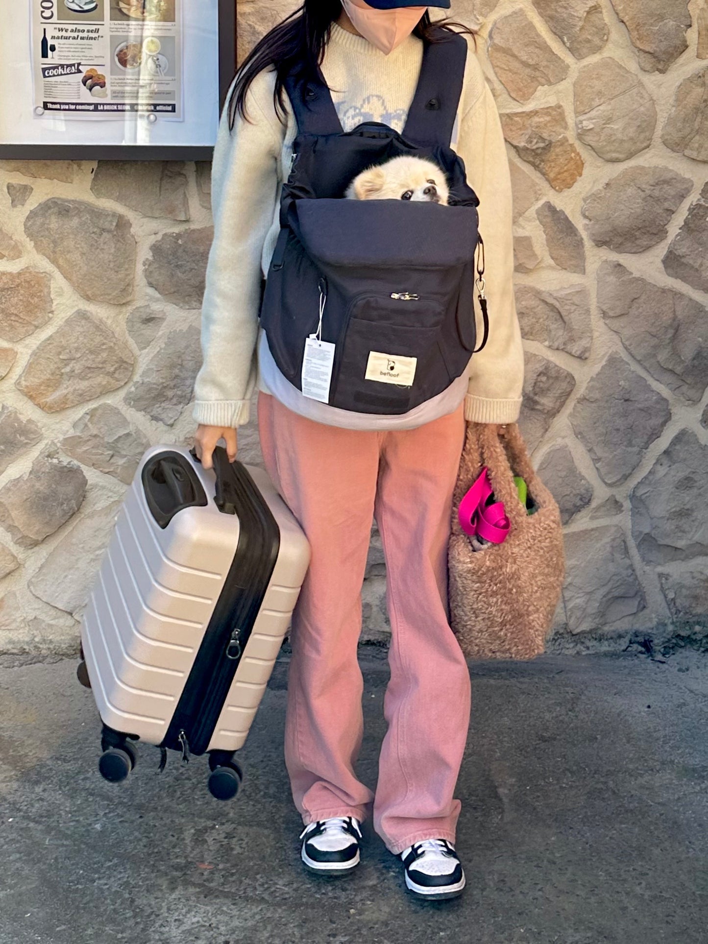 Pet Front Facing Bag/ Carrier (B)