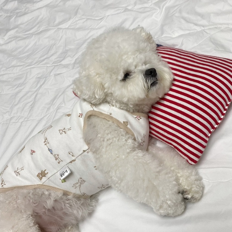 Puppy Sleeveless Indoor Wear Pajamas Organic Cotton (B)