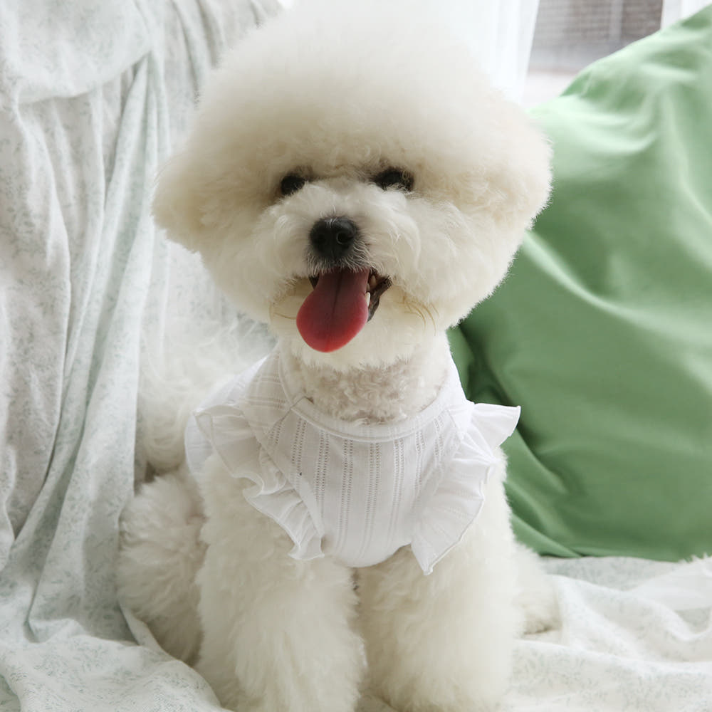 Puppy Sleeveless Summer Shirt (B)