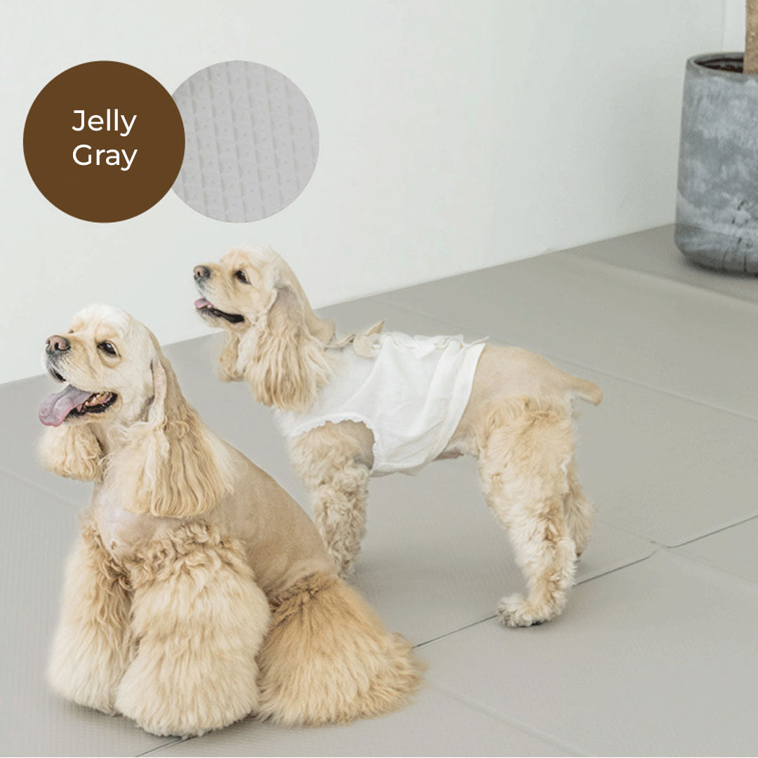Waterproof Scratch Resistant Non Slip Foldable Pet Mat (B)