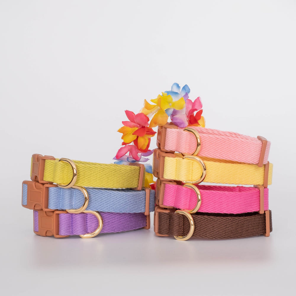 Ultra Lightweight Pure Cotton Puppy Collar (B)