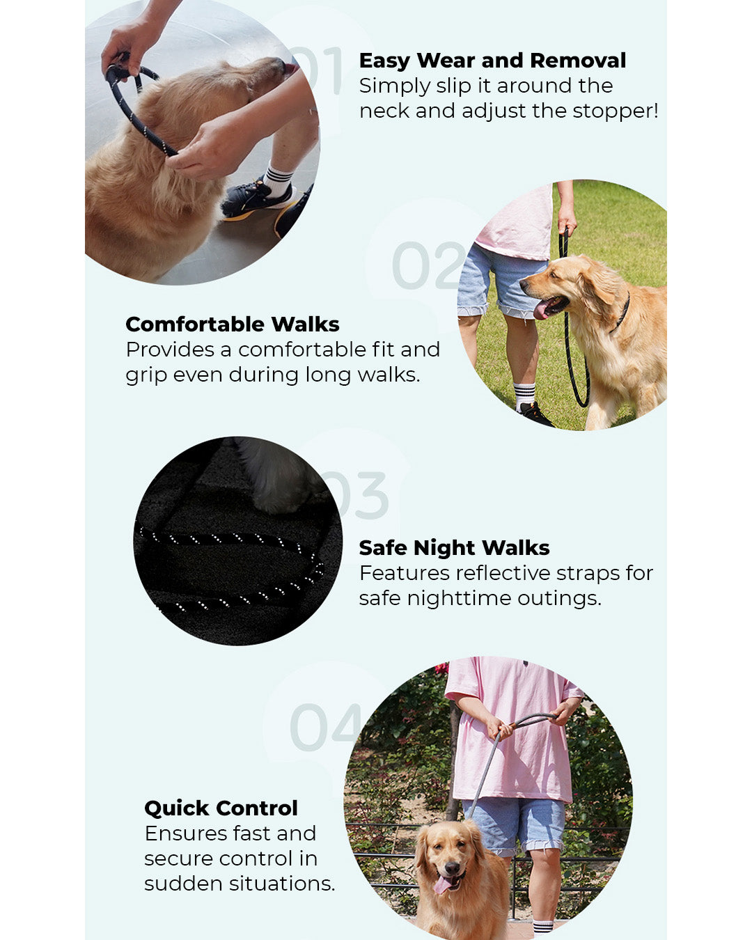 Slip Rope Puppy Leash (B)