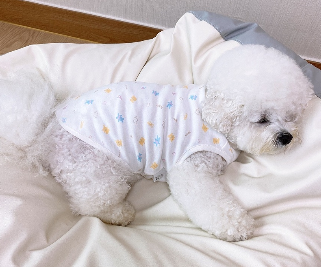 Puppy Sleeveless Indoor Wear Pajamas Organic Cotton (B)