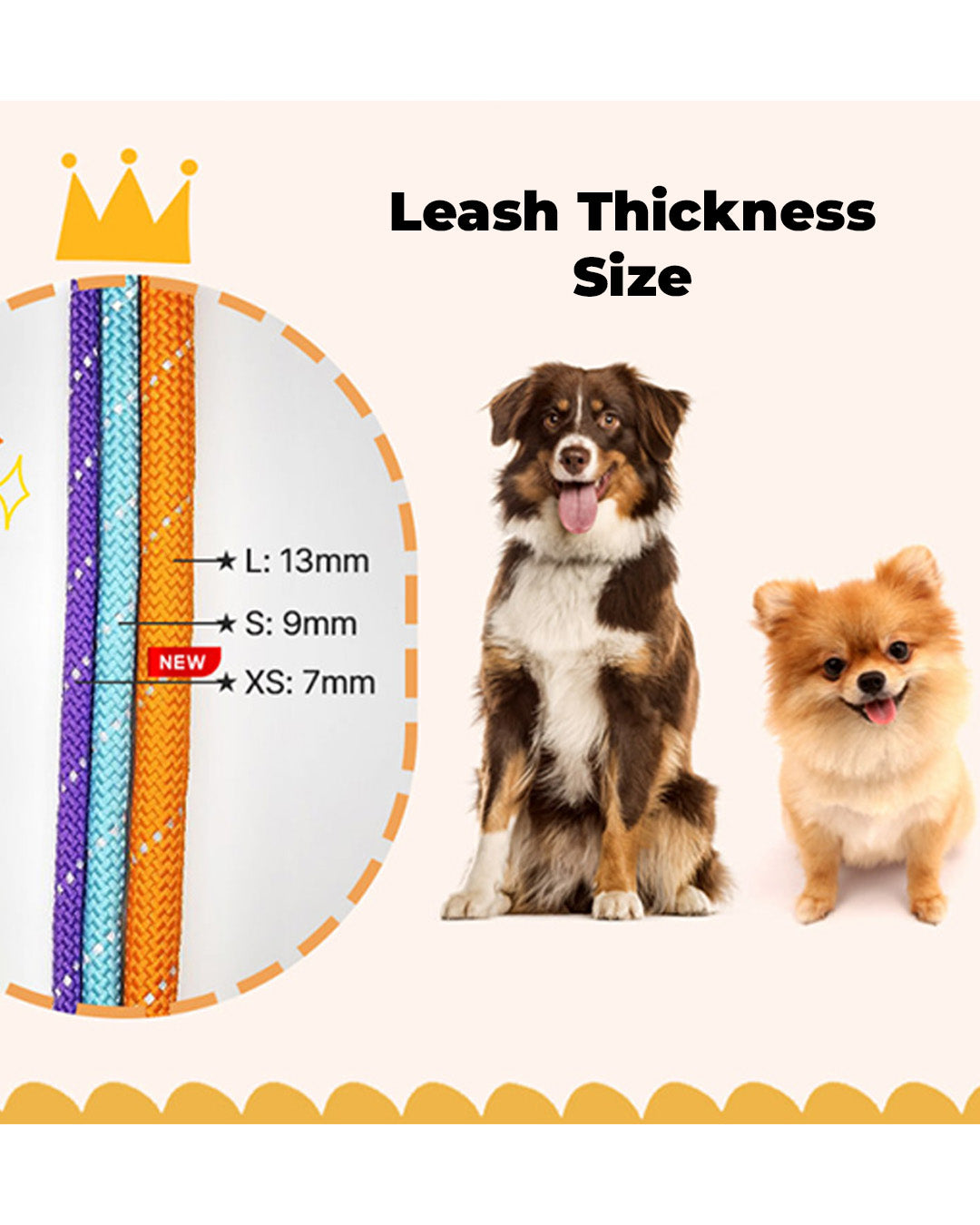 Slip Rope Puppy Leash (B)