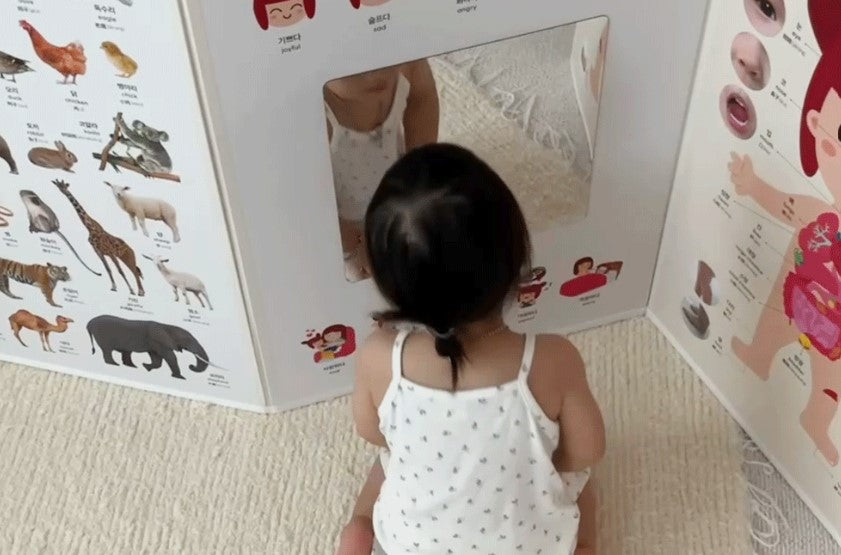 (Preorder) Baby/Toddler Folding Screen with Magnetic Board/Mirror/ Nursery Rhyme/ Pictures