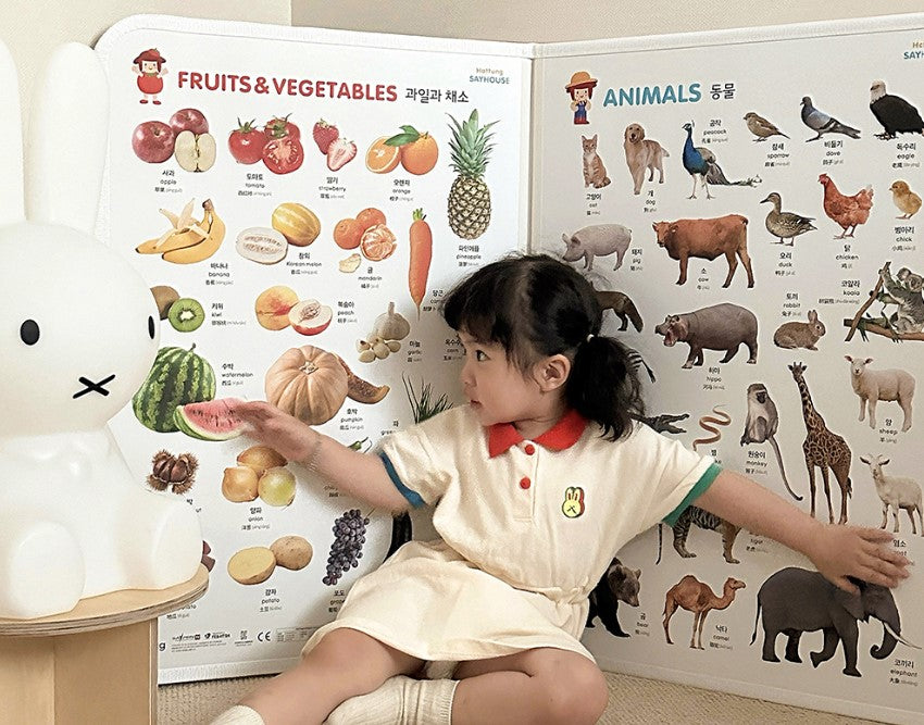 (Preorder) Baby/Toddler Folding Screen with Magnetic Board/Mirror/ Nursery Rhyme/ Pictures