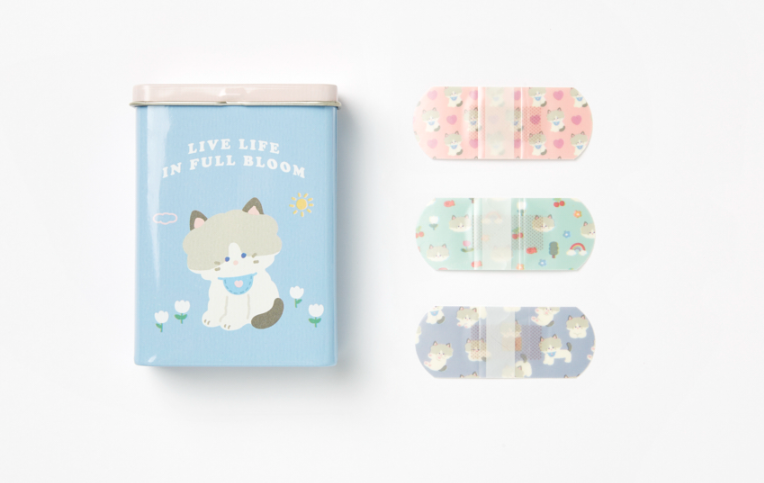 Aqua Band Tin Case