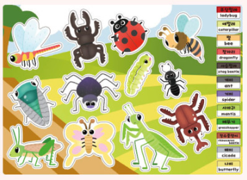 Learning Sticker