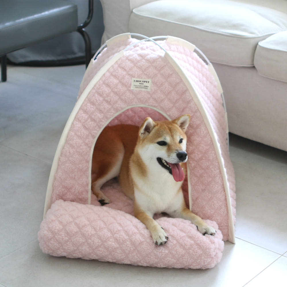 Puppy Tent House (B)