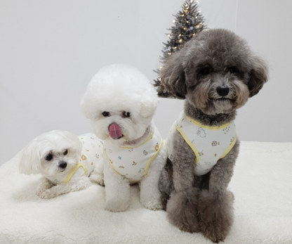 Puppy Sleeveless Indoor Wear Pajamas Organic Cotton (B)