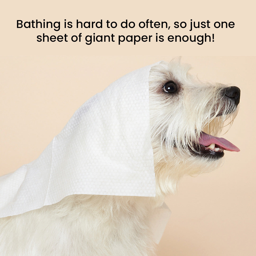 Giant Pet Wipes Eco Friendly 100% Natural Rayon (B)