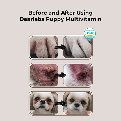 Dearlabs Puppy Multivitamin (Tear Stains/Joints/Immunity/Skin/Intestine Care) (B)